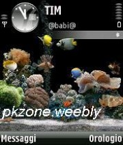 acquarius-pkzone.weebly.com