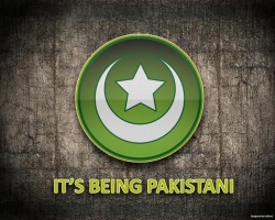 pakistan-pkzone.weebly.com